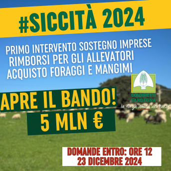 SICCITA’ 2024