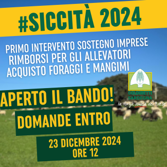 SICCITA’ 2024