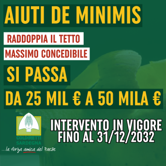 de minimis