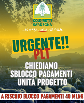 SBLOCCO PAGAMENTI UNITA’ DI PROGETTO