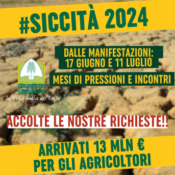 SICCITA’ 2024