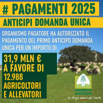 Pagamenti 2025